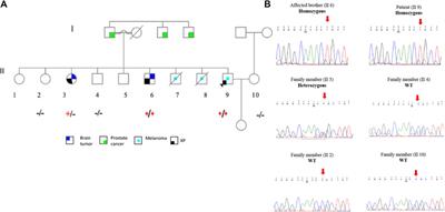 Genomic analysis of a Palestinian family with inherited cancer syndrome: a next-generation sequencing study